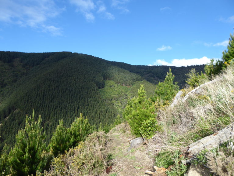 barnicoat-walkway-4-768x576